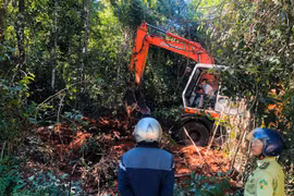 Bà Rịa - Vũng Tàu: Phát hiện 24 vụ vi phạm Luật lâm nghiệp