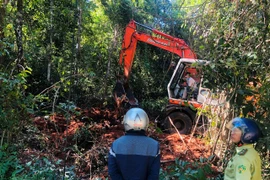 Bà Rịa - Vũng Tàu: Phát hiện 24 vụ vi phạm Luật lâm nghiệp
