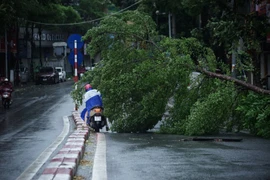 Tin mới bão Trami: Bộ GTVT yêu cầu các đơn vị trực ứng phó 24/24
