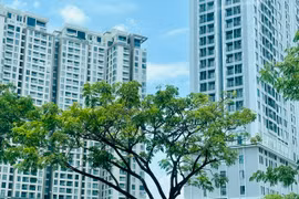 Phân khúc nào dẫn dắt sự hồi phục thị trường bất động sản Hà Nội?