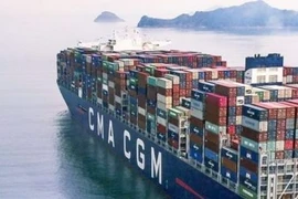 Tập đoàn CMA-CGM muốn được cấp phép bay cho CC Air Cargo, đầu tư cảng cạn tại TPHCM