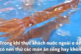 Mực sống cắt sợi trên đường phố Hàn Quốc