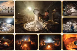 Những bức ảnh đặc sắc về di sản Việt Nam 2020