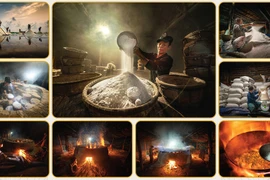 Những bức ảnh đặc sắc về di sản Việt Nam 2020