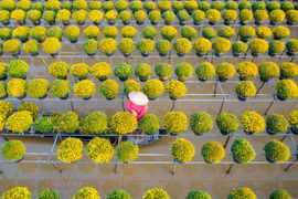 Tỉnh đầu tiên ở miền Tây có 3 thành phố