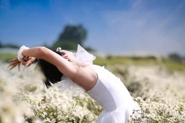 Cười ngất bộ ảnh chàng trai mặc váy tạo dáng bên cúc họa mi