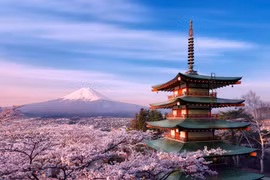 Vì sao người Nhật Bản gọi hoa anh đào là Sakura?