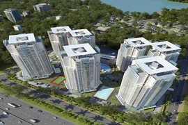 Hàng loạt “đại gia” BĐS Hà Nội bị kiểm toán soi việc sử dụng đất