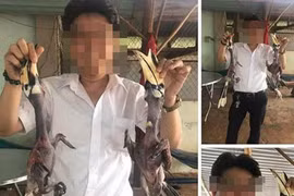 “Ngã ngửa” với sự thật “làm thịt chim quý” khoe trên Facebook