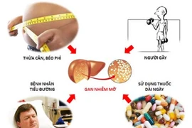 Nghiên cứu về sự nguy hiểm của bệnh gan nhiễm mỡ