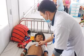 Gia Lai: Hai trẻ ngộ độc do ăn thịt cóc, một bé tử vong