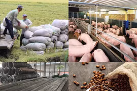 Giá cả thị trường hàng hóa ngày 4/5: Thép, cà phê, tiêu,... có biến động