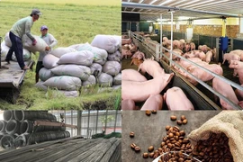 Giá cả thị trường hàng hóa ngày 4/5: Thép, cà phê, tiêu,... có biến động