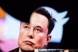 Vì sao Twitter sa thải tới 80% nhân viên?