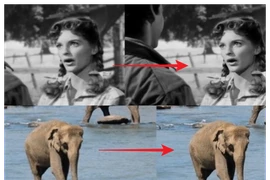 Adobe Premiere Pro thử nghiệm tính năng mới giúp làm nét video/GIF