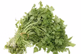 9 lợi ích sức khỏe ấn tượng của rau cải xoong