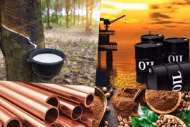 Thị trường ngày 19/5: Giá dầu kim loại và các nông sản đồng loạt giảm