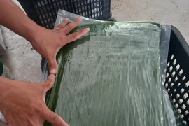 Những loại lá giúp Việt Nam thu về hàng "triệu đô"