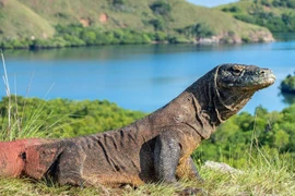 7 kỳ quan hùng vĩ ít người biết đến