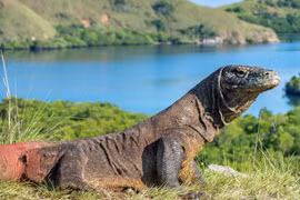 7 kỳ quan hùng vĩ ít người biết đến