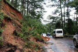 Bác tài "cứng' mách kinh nghiệm lái xe đường đèo dốc khi trời mưa lớn