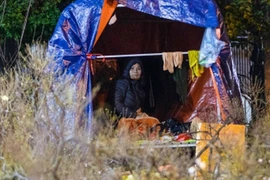 Rét buốt, tiểu thương trùm chăn thấp thỏm trông cây cảnh qua đêm