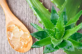 4 cách trị tàn nhang bằng nha đam đơn giản tại nhà