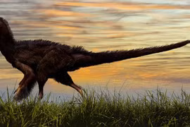  Quái vật mình rồng, lưng bọc thép lộ diện?