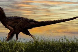  Quái vật mình rồng, lưng bọc thép lộ diện?