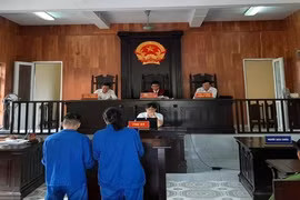 Thanh Hóa: Cặp đôi nhận án tù vì buôn bán trái phép chất ma túy