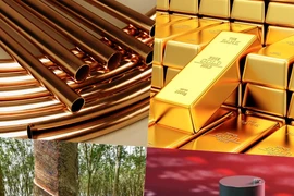 Thị trường mới nhất : Vàng, đồng, cà phê tăng... Giá dầu, cao su giảm