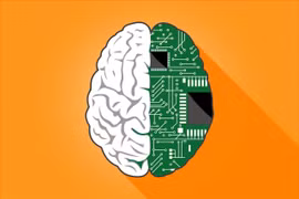 Máy tính sinh học sử dụng tế bào não người cấu tạo ra sao?