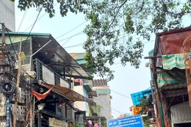 Sẽ phạt doanh nghiệp lữ hành bán tour đến phố cà phê đường tàu