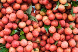 Vải thiều Úc gần 1,3 triệu đồng 1 kg "cháy hàng"