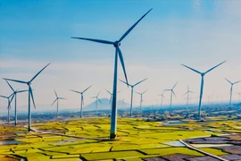Chuyển đổi năng lượng để Việt Nam phát triển bền vững
