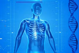 Những điều thú vị về cơ thể con người, không phải ai cũng biết