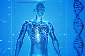 Những điều thú vị về cơ thể con người, không phải ai cũng biết