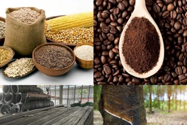 Thị trường ngày 17/5: Dầu, quặng sắt quay đầu giảm