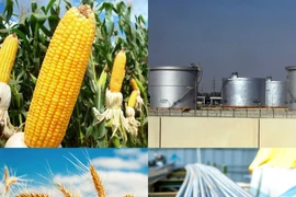 Thị trường ngày 11/4: Dầu giảm, than thấp nhất 5 tháng, cà phê giảm