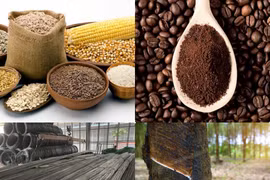 Thị trường ngày 12/5: Giá dầu, đồng, quặng sắt, cao su đồng loạt giảm