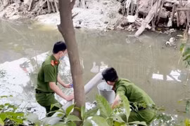 Vụ Cty Trung Anh bị phạt 300 triệu: Xả thải vượt chuẩn bao nhiêu lần?