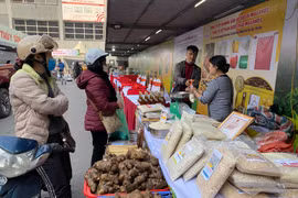 Nhiều chính sách kinh tế nổi bật có hiệu lực từ tháng 3/2023