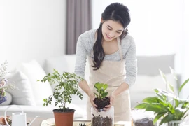 Hè 2023 nắng nóng gay gắt: Làm gì để hóa đơn tiền điện không tăng cao?