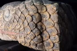 "Báu vật" nặng 1,3 tấn lộ ra giữa sân trường sau động đất