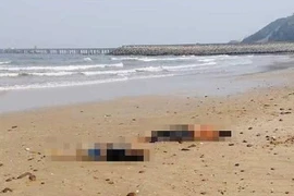 Phát hiện thi thể 2 nữ sinh trôi dạt vào bờ biển ở Nghệ An