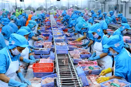 Xuất khẩu nhiều mặt hàng thủy sản Việt Nam bất ngờ “giảm mạnh”