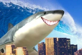 Cá mập có khả năng tiến hóa để thích nghi với cuộc sống trên cạn?