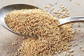 Kinh ngạc thực phẩm phổ biến giàu canxi, dễ hấp thụ hơn sữa