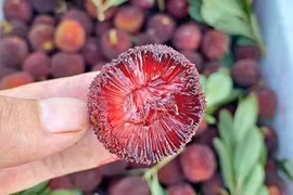 Loại quả dễ chứa kí sinh trùng, trụng nước sôi không hết