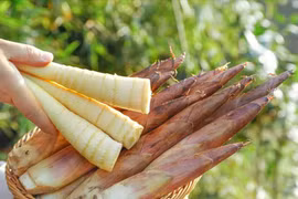 Giật mình loại rau nên hạn chế ăn kẻo rước họa 